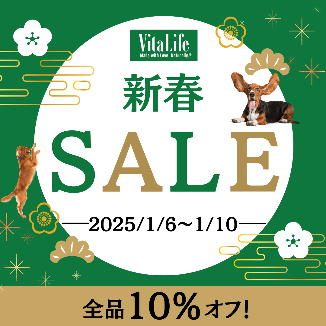 【新春セール開催中】全品10％OFF！愛犬と一緒にハッピーな2025年を🎍