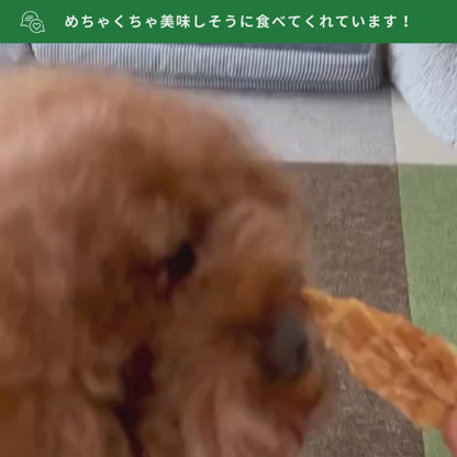 【お1人様1セット限り】VitaLife5種類お試しパックミニ