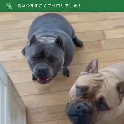 【お1人様1セット限り】VitaLife5種類お試しパックミニ